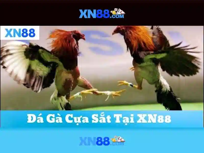 💎nha cai 388💎