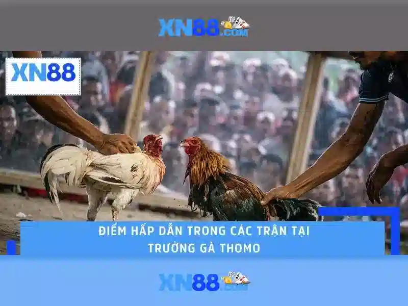 💎789bet sòng bạc💎