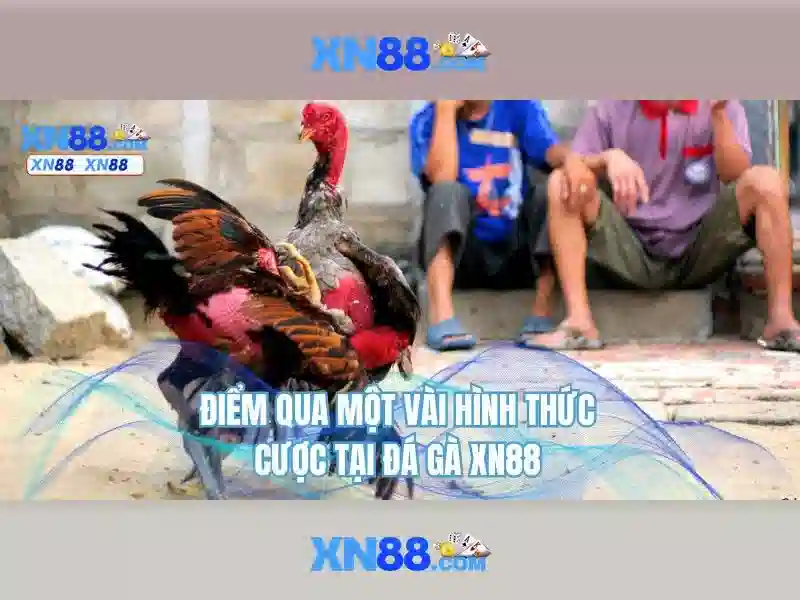 💎kèo bóng đá nhà cái alo💎