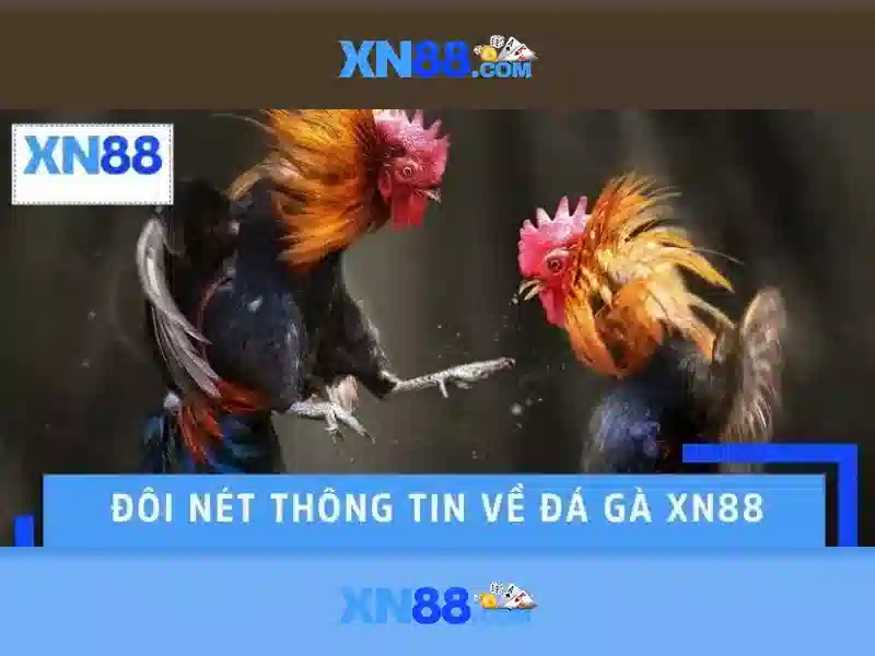 💎vi84 nha cai💎