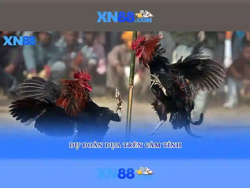 XN88 - Thế giới Slot 2026 đầy tiềm năng và hấp dẫn - XN88