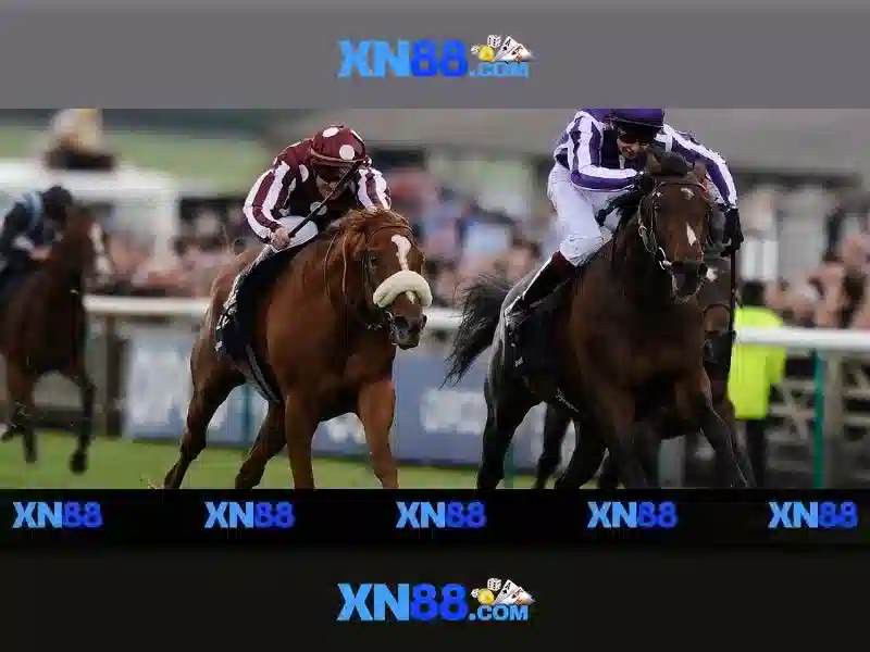 💎top nhà cái uy tinh💎