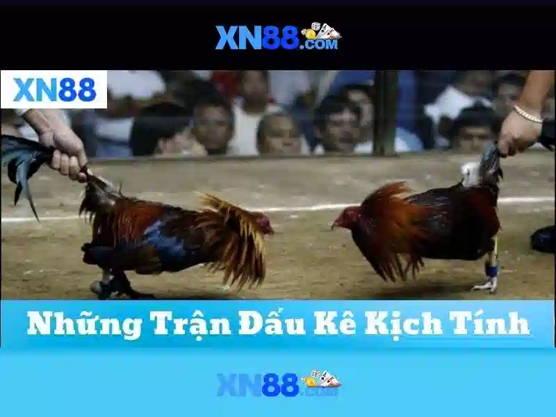 💎tỷ lệ kéo nhà cái 88💎