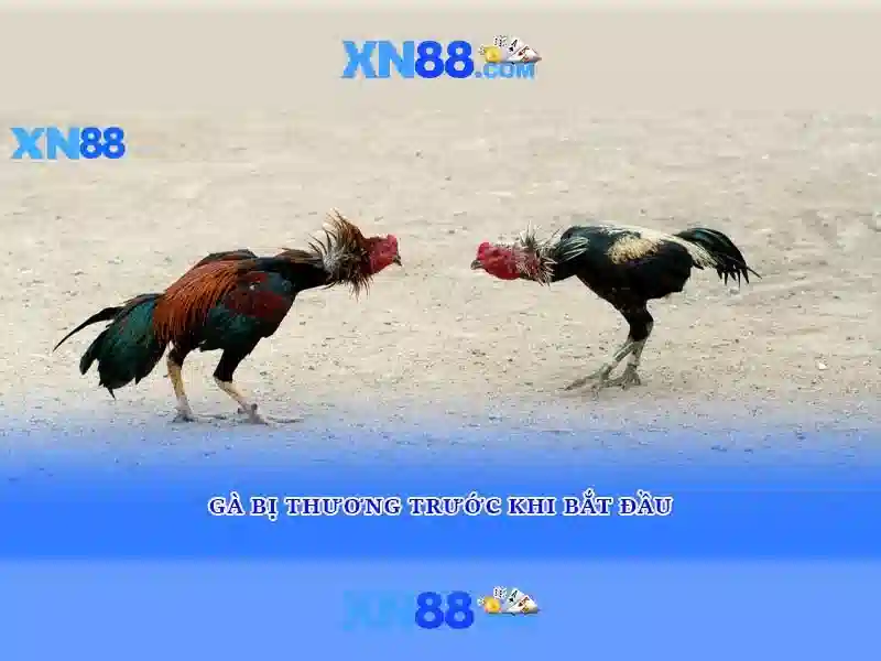 💎pp toto slot💎