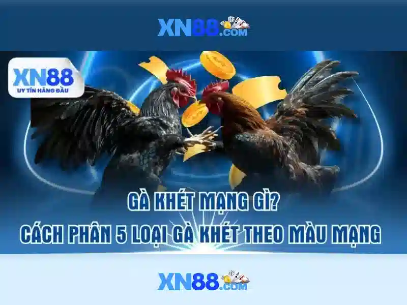 💎những trang cá cược💎
