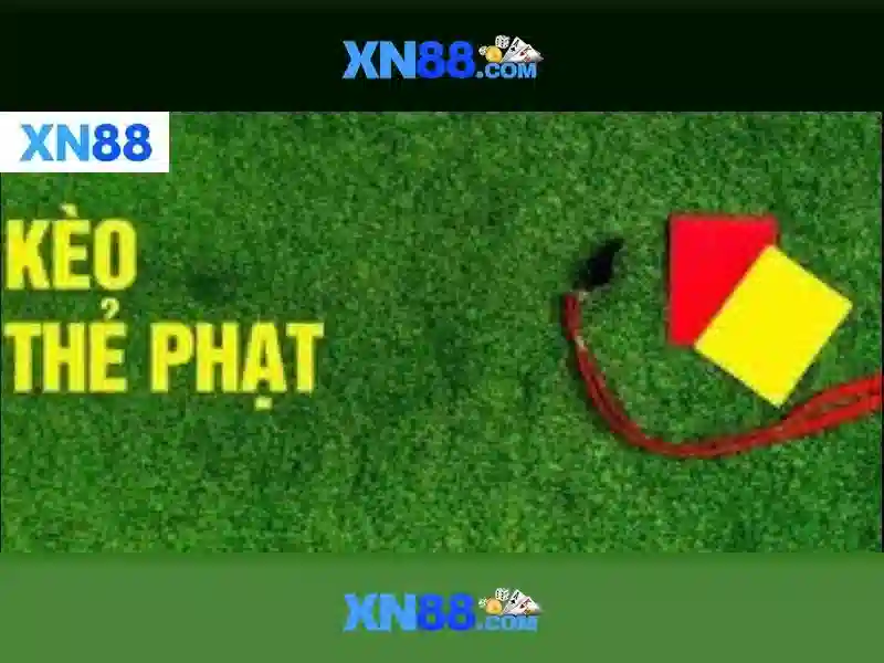 💎nikon d300 memory card slot how to open💎