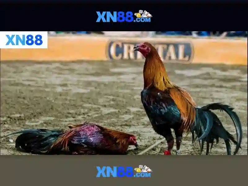 💎xn88 slot games 2025💎