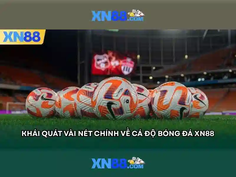 💎soi cầu lô nhà cái💎