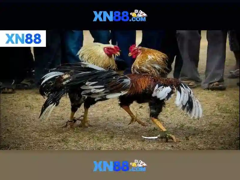 💎fabet uk com💎 - trang chủ fabet - fabet tổng quan fabet