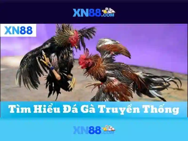 💎nha cai trưc tuyen fi88💎