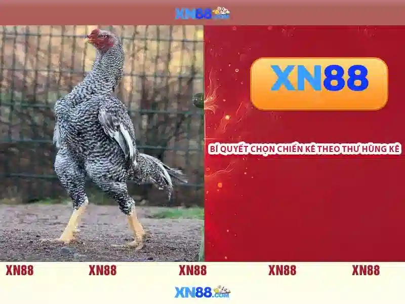 💎nha cai t68bet💎