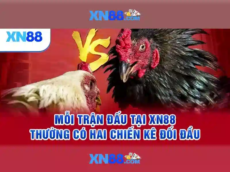 💎đánh cảm đồng bạc💎