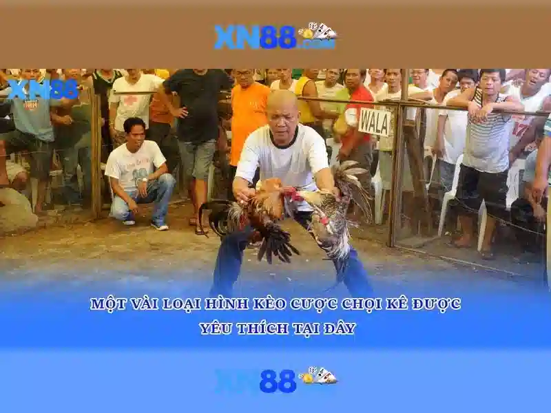 💎nha cai uytin vnz💎