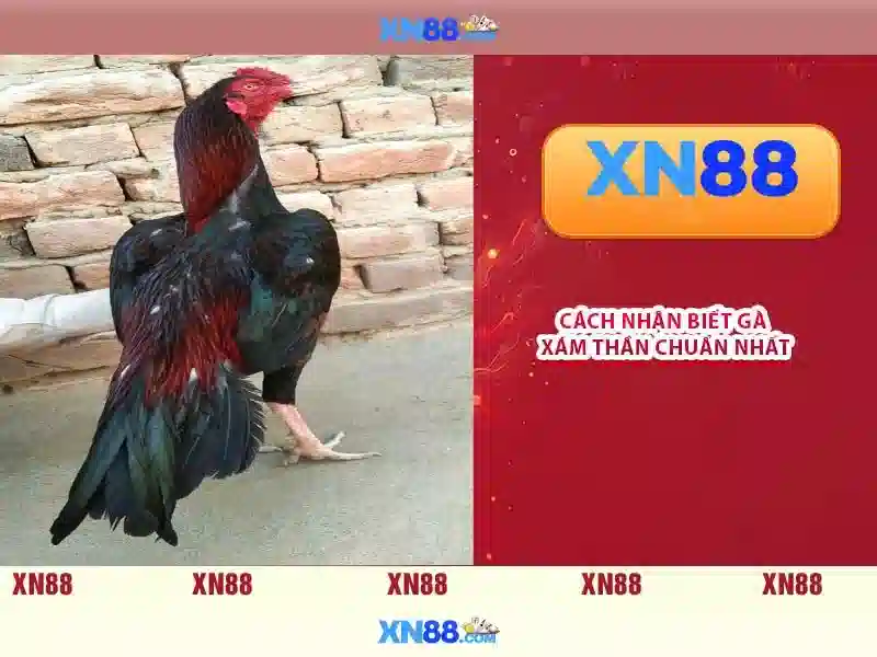 💎kèo nhà cái ý thụy sĩ💎