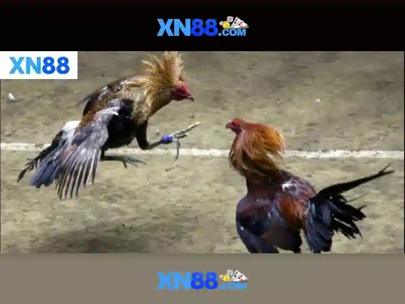 💎sin88 sin88s💎 - sin88 lo de - sin88 shop