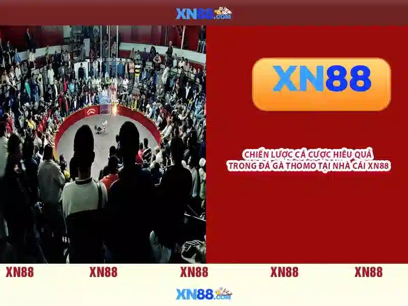 💎giấy phép cá cược💎