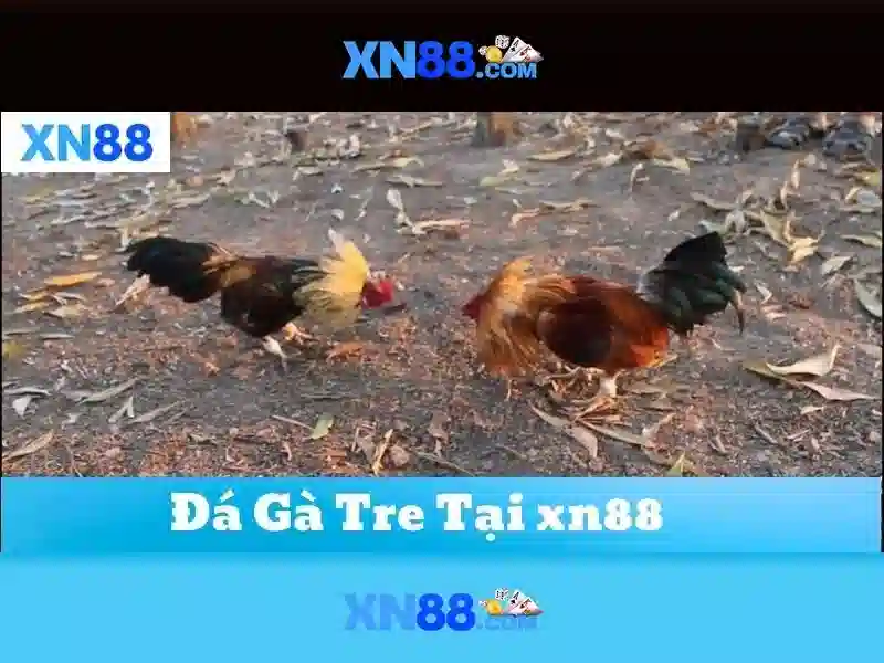 💎toaster with long slots💎