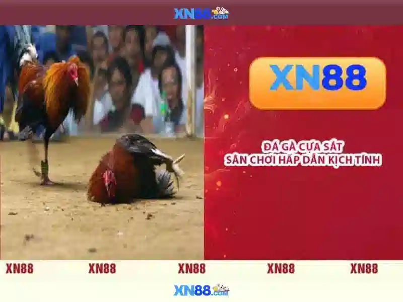 💎zalv nhà cái💎