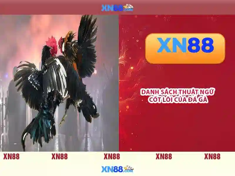 💎video slots schweiz💎