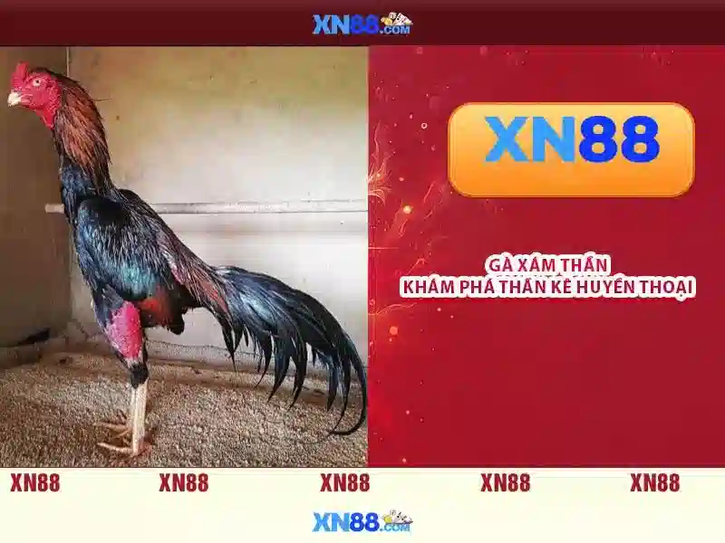 💎chempion slots💎