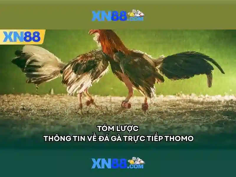 💎mức xử phạt hành chính tội đánh bạc 2022💎
