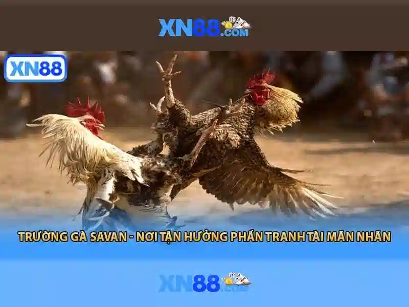 💎rajagacor slot💎