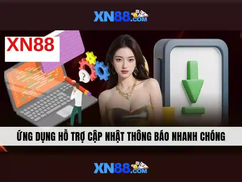  điều khoản điều kiện - XN88