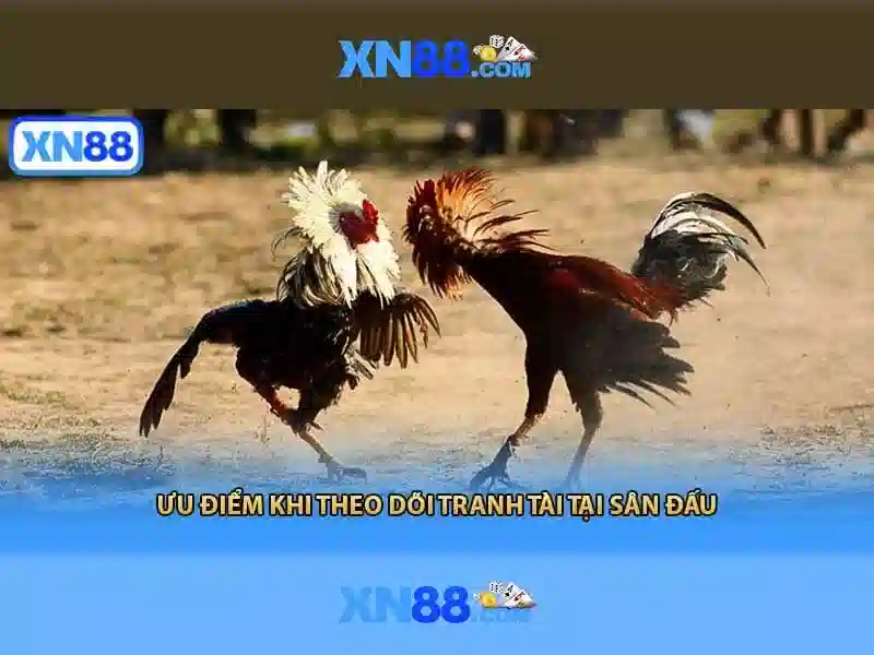 💎coi trực tiếp bóng đá kèo nhà cái💎