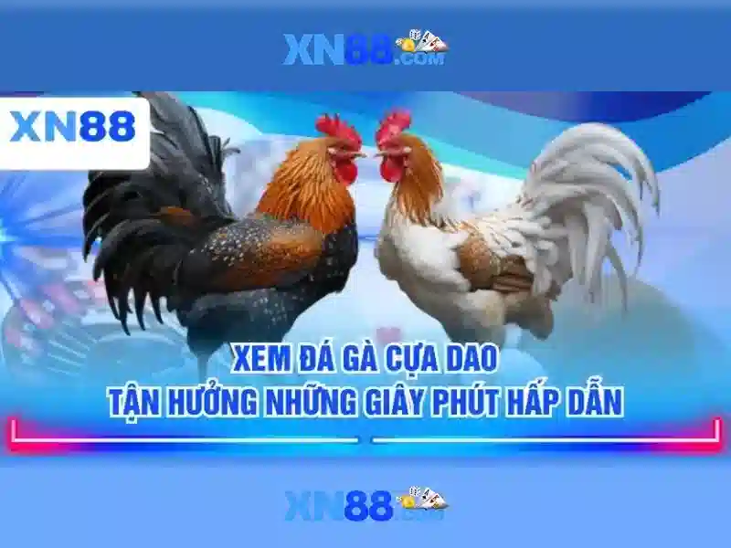 💎xem sòng bạc trực tuyến💎