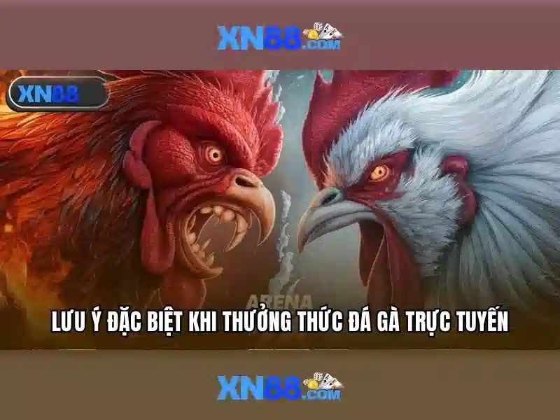 💎nha cai jun 88 dev💎