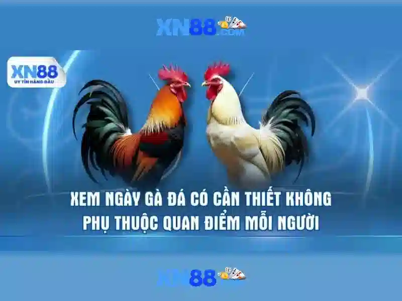  xổ số trực tuyến - XN88