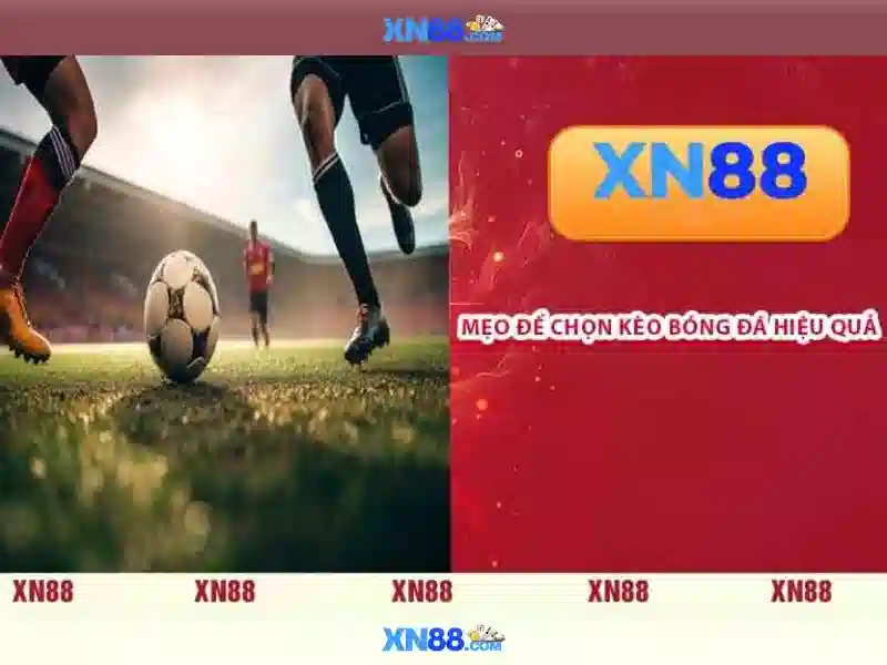 💎crystal forest slot app💎