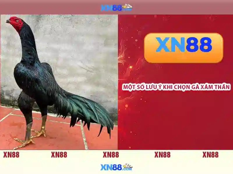 💎trang cá cược uy tín lynxfc.com💎