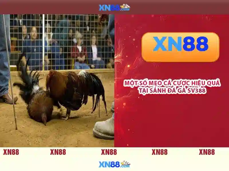 💎slots online real cash💎