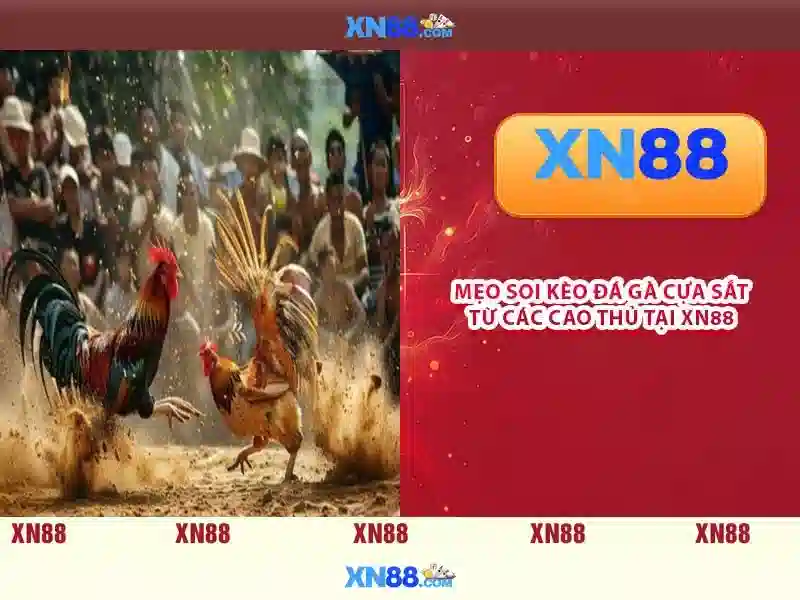 💎sòng bạc tiếng anh là gì💎