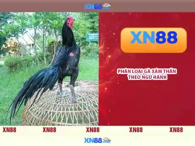 💎188bet thiên đường cá cược châu á💎