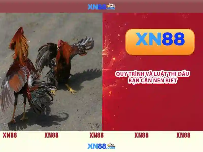 💎keo nha cai ifcway💎