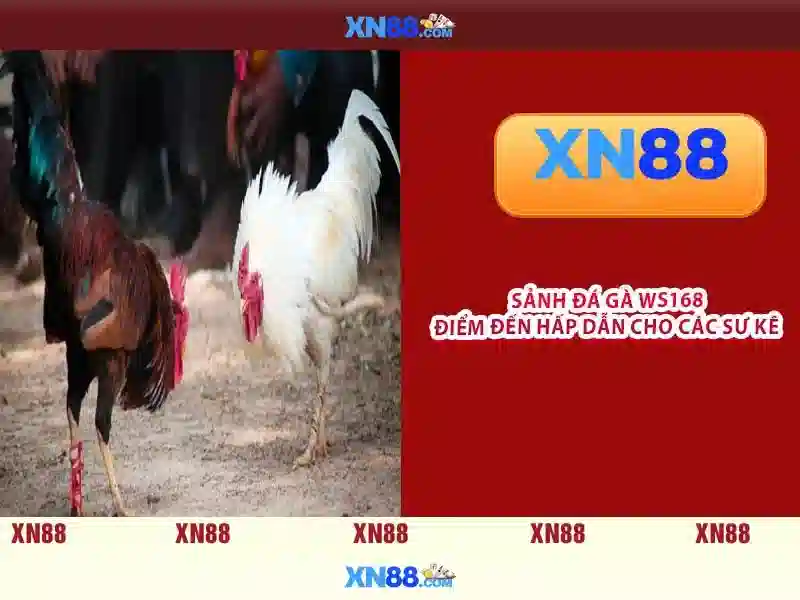 💎dewa xn88 slot💎