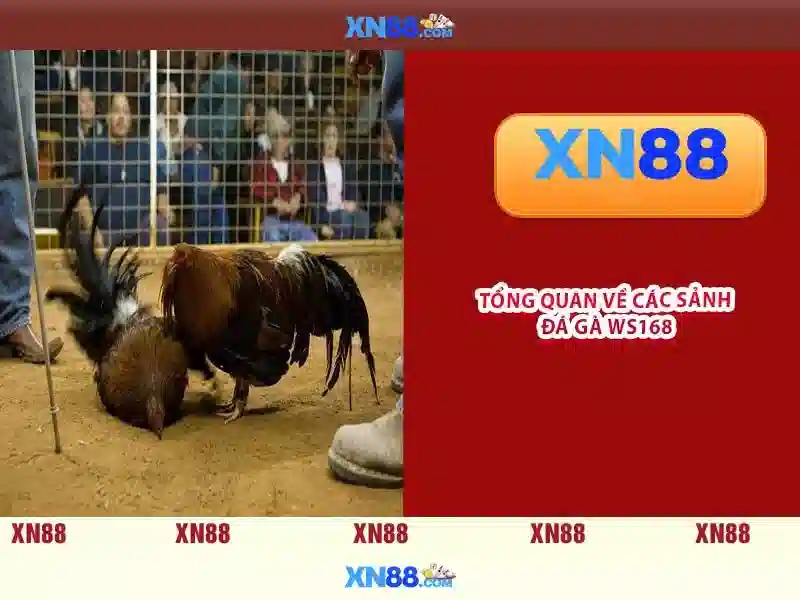 💎đỉnh lũ của sông ngòi bắc bộ vào tháng mấy💎