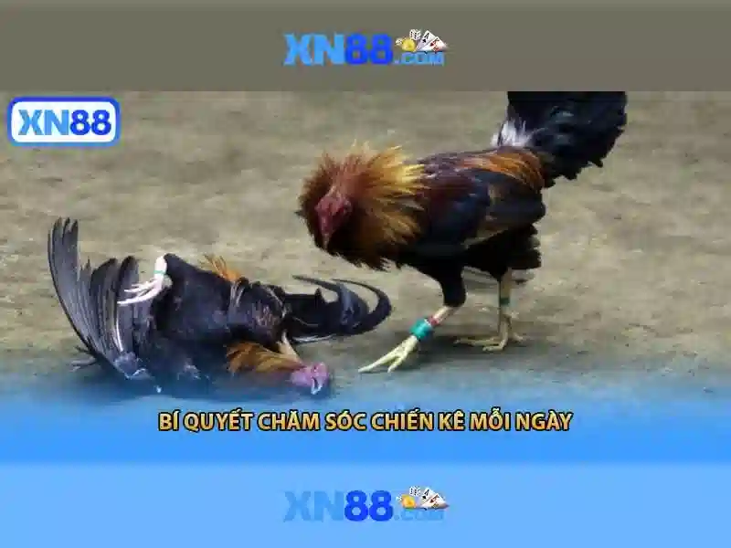 💎ft 88 nhà cái💎