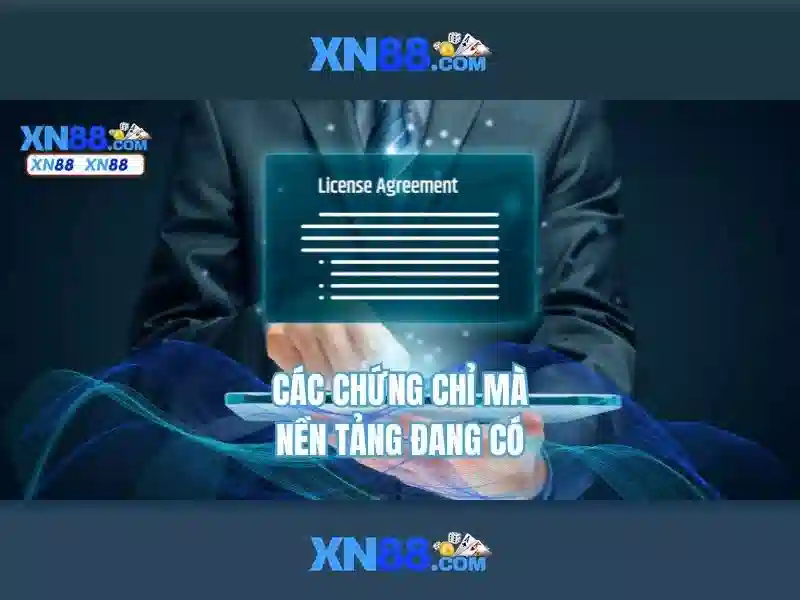  giải pháp hỗ trợ 24/7 - XN88