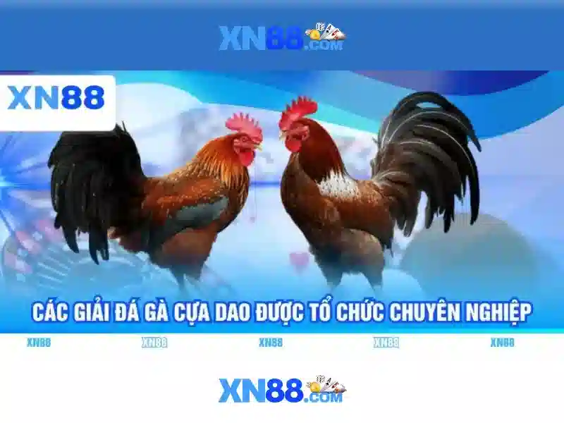 💎đá gà trực tiếp sv88💎 - sv88 game - sv88 bạn cá