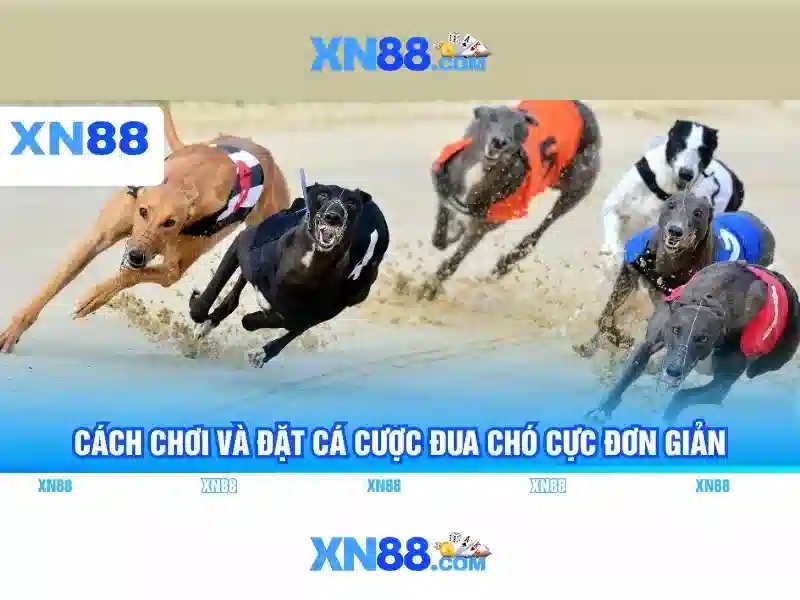 💎uk88 apk💎 - uk88 con - uk88 app