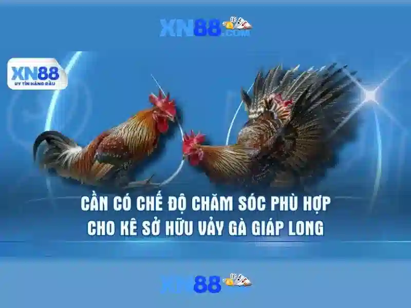 💎tỷ lệ cả cược bóng đá nữ💎