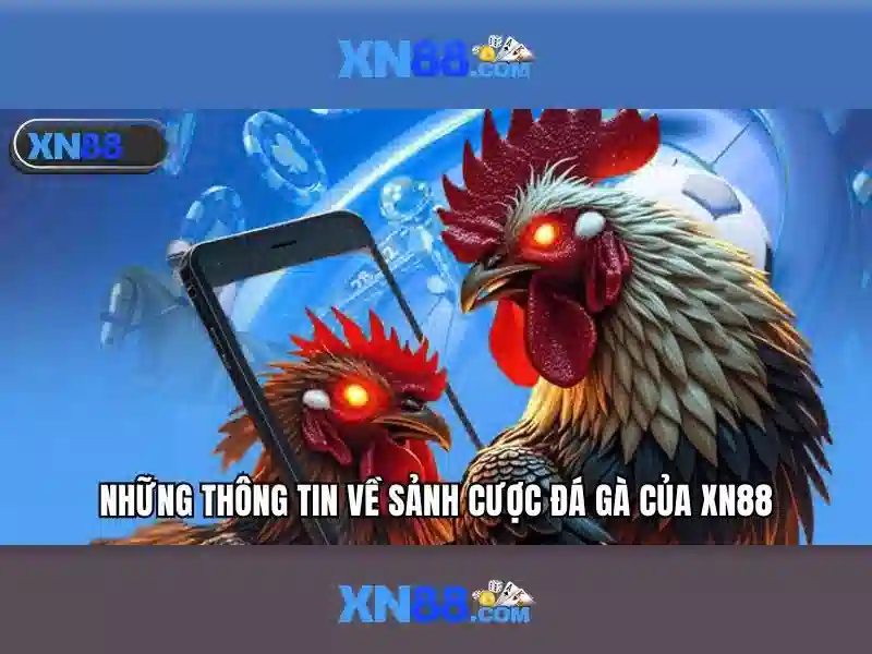 💎365 cá cược net💎