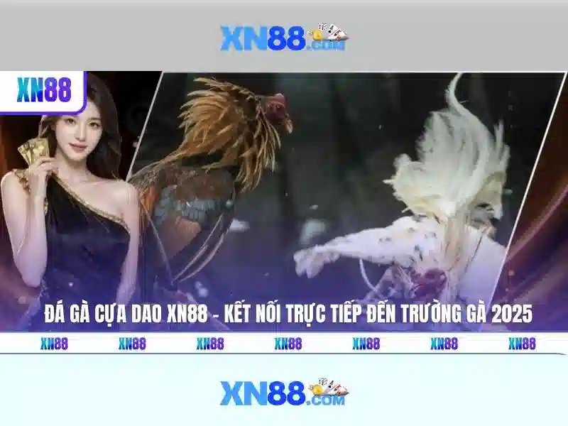 💎đánh giá nhà cái 8xbet💎