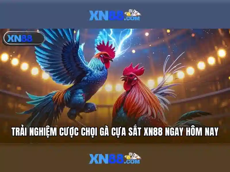 💎mã kèo nhà cái💎