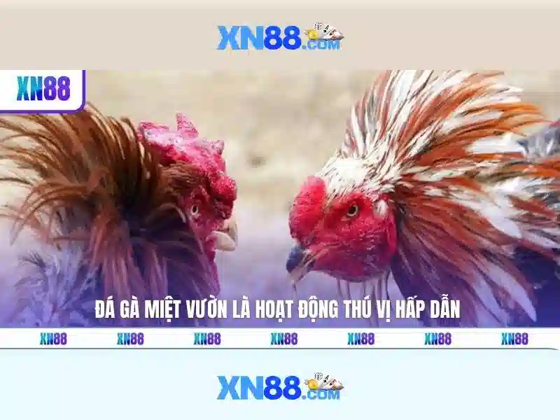 💎wizard of oz slots update💎