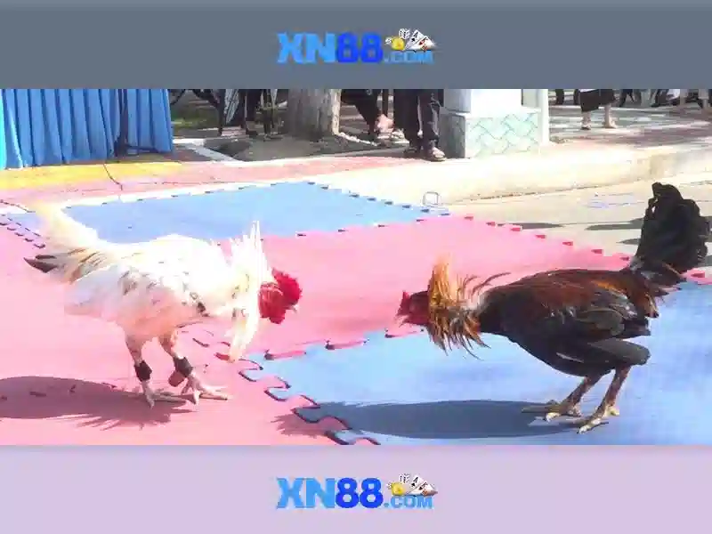  slot trực tuyến - XN88