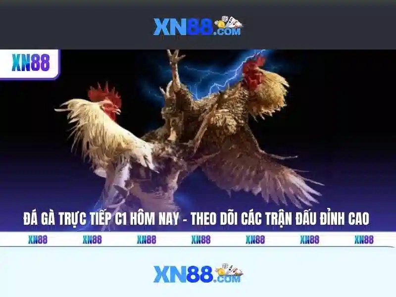 💎kèo nhà cái chấm tv💎